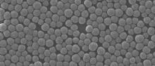 Silica balls made for colloidal glasses at microscope