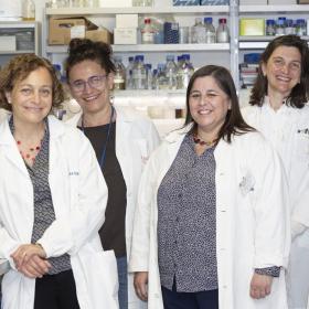 Le quattro ricercatrici del progetto Neurospie ©UniTrento ph. Federico Nardelli