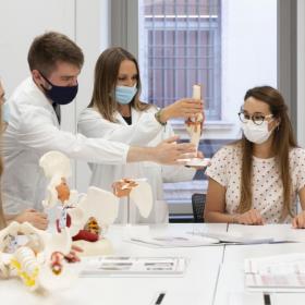 Studenti del corso di laurea in Medicina e Chiururgia UniTrento con modelli anatomici ©UniTrento Federico Nardelli 