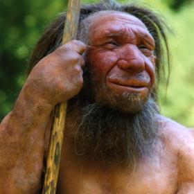 Reconstruction of a Neanderthal (Courtesy ©NeanderthalMuseum)
