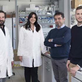 Da sinistra, Alessandro D'Ambrosio, Elisa Ferracci, Fulvio Chiacchiera e Davide Bressan ©UniTrento - Ph. Federico Nardelli