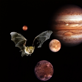 Un’immagine elaborata dai ricercatori (su immagine Courtesy NASA/JPL)