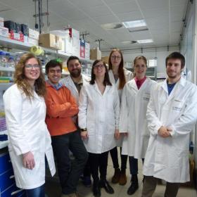 The research group at Cibio