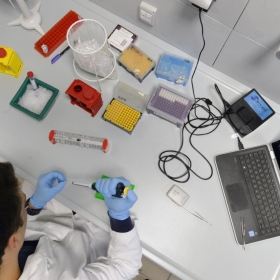 Laboratorio di RNA Biology and Biotechnology del Cibio ©AlessioCoser